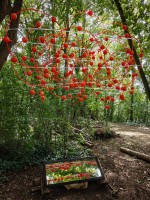 /album/installations/photo-3-jpg1/